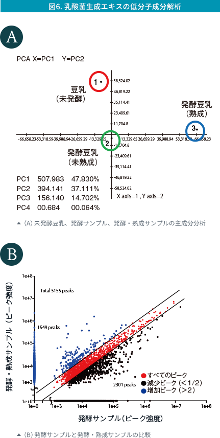 （B）発酵サンプルと発酵・熟成サンプルの比較