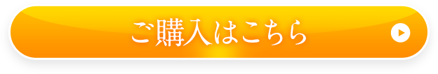 詳細はこちら