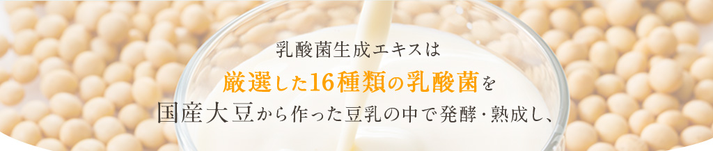 乳酸菌生成エキスは厳選した16種類の乳酸菌を 国産大豆から作った豆乳の中で発酵・熟成し、